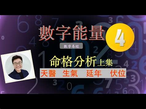 生氣延年|【天醫 延年 生氣】解鎖你的數字運勢：天醫、延年、生氣號碼全。